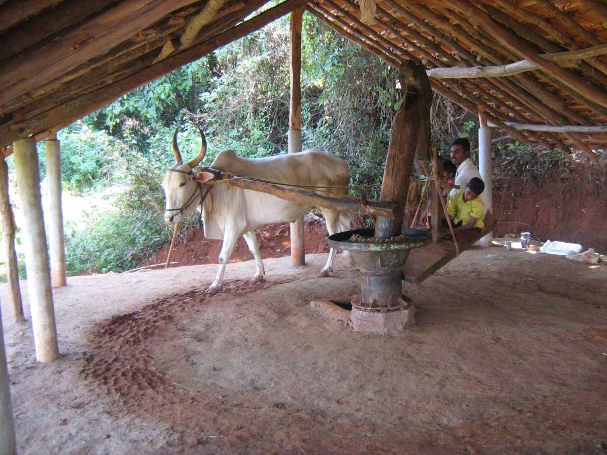 Jhothy Traders Jhothy Traders