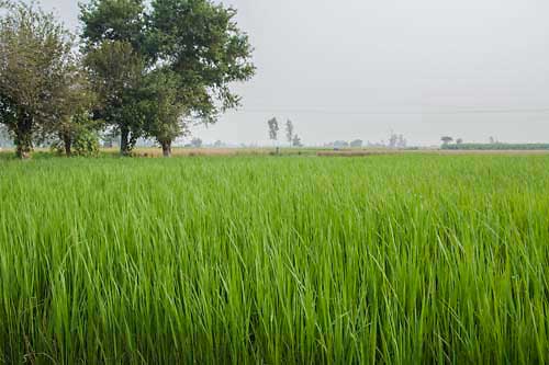 Jhothy Traders Jhothy Traders