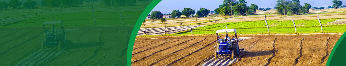 About Jhothy Traders About Jhothy Traders