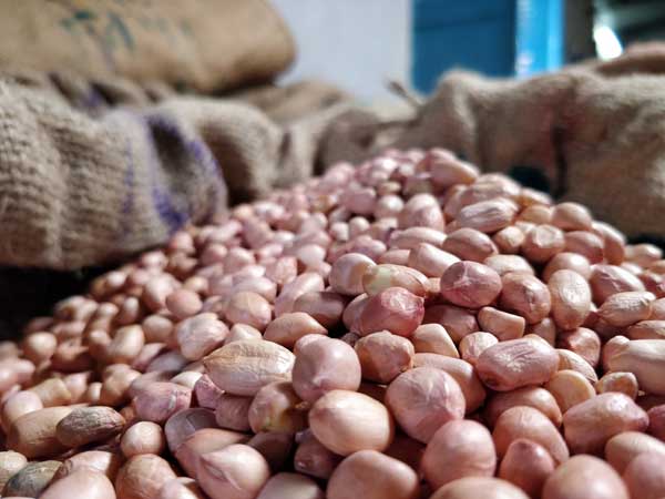 kovilpatti peanut candy