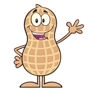 healthy peanut